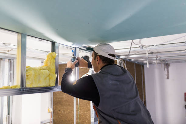 Best Energy-efficient Insulation  in Tecumseh, MI