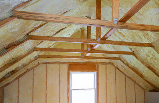 Best Cellulose Insulation  in Tecumseh, MI