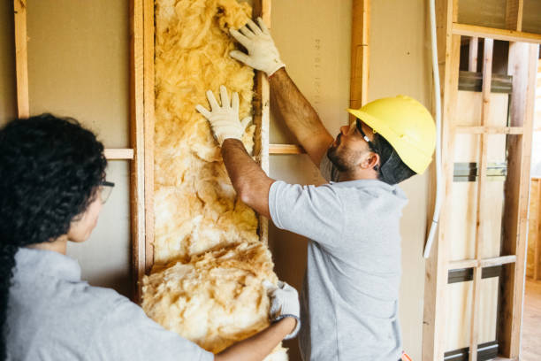 Best Residential Insulation Services  in Tecumseh, MI