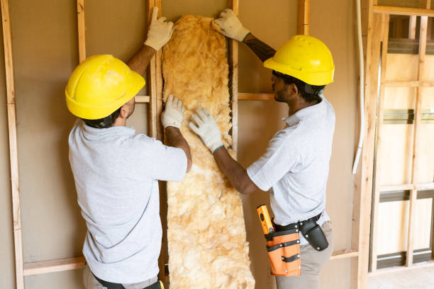 Best Affordable Insulation Services  in Tecumseh, MI