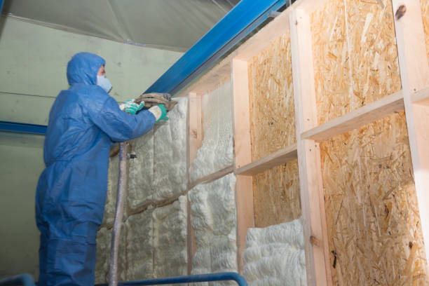 Best Soundproof Insulation Installation  in Tecumseh, MI