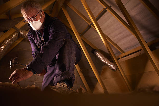 Insulation Contractors for Homes in Tecumseh, MI